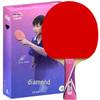 Double Fish Professional Training Table Tennis Bat