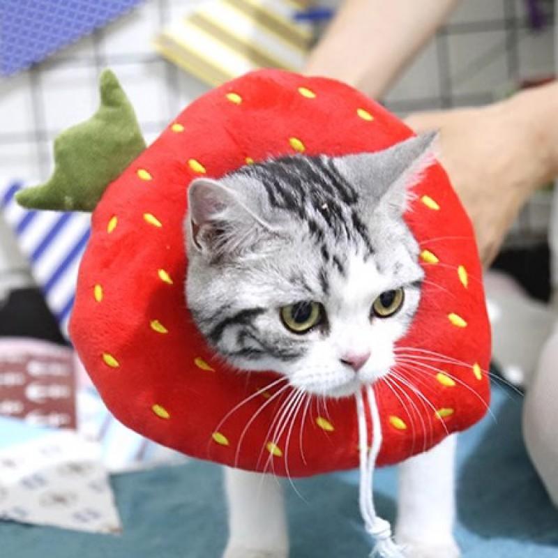 Adjustable Pet Recovery Collar Cats Dogs Post Surgery Anti-Lick Head Cover Soft Non-Woven Fabric Use