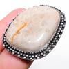 Fossil Coral Gemstone 925 Sterling Silver Gift Jewelry Ring Size 7