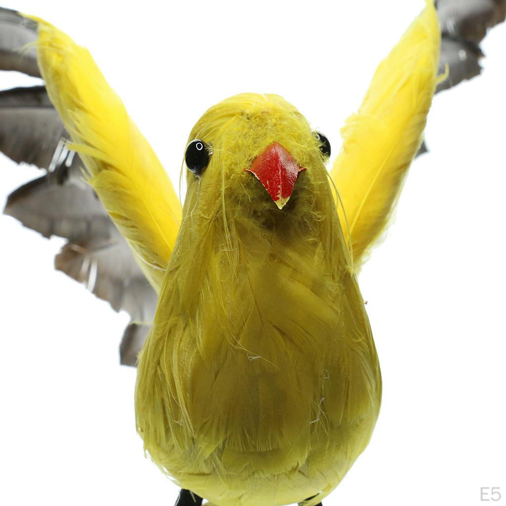 Оперенная Воробьиная Домашняя Садовая Орнаментация