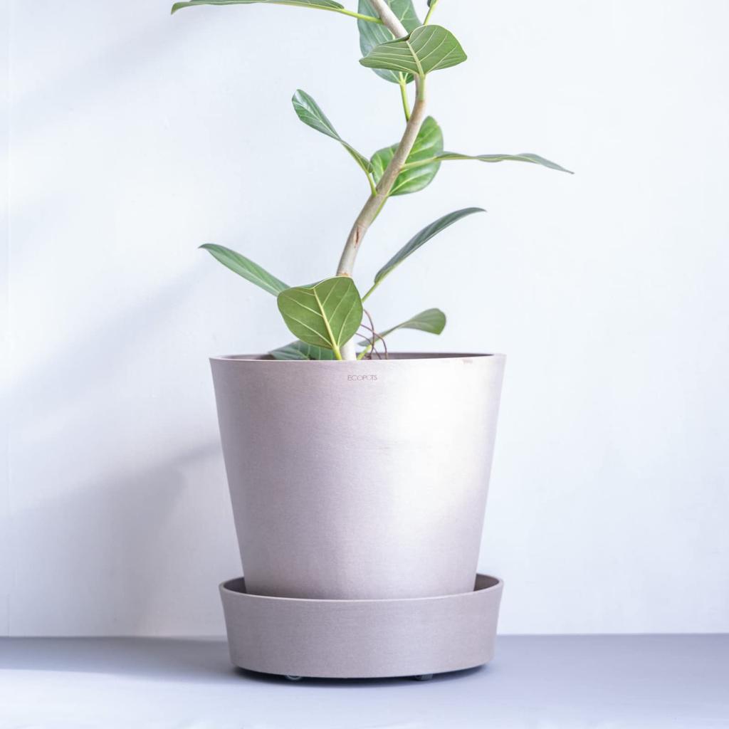 Поддон для горшка ECOPOTS размером Ecopots Amsterdam И РАСТЕНИЯ на колесиках, 10, 12, L, XL, (Серо-коричневый, L)