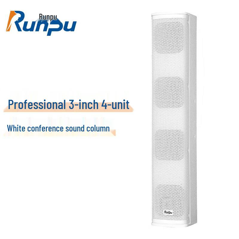 Runpu Professional Conference & Auditorium Audio Systems CN plug (adapter included)