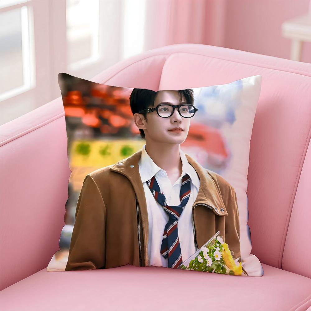 actor handsome YYang Yang Cushion Cover Pillow Case Soft Skin Friendly Fabric Concealed Zipper