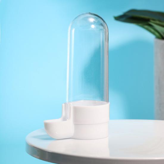 Bird Water Feeder Large Capacity Splash Proof Transparent Container Pet Parrot Hanging Food Dispenser Bird Supplies