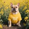 French Bulldog, Pug, Basset Hound, and Shar Pei Round Neck T-shirt - Teddy Panda Design Dog Clothing