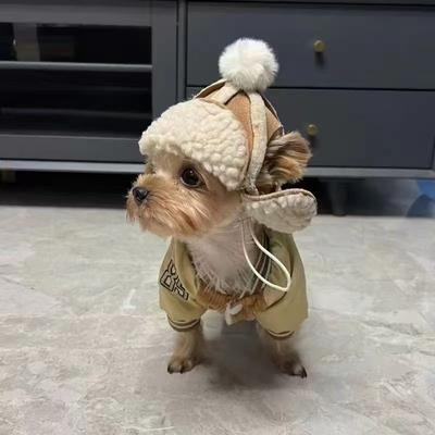 Шапка для собак с открытыми ушами, зимняя теплая, плюс бархатный головной убор для домашних животных