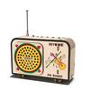 Science And Technology Small Production Children DIY Radio Model Hand-assembled Toys Scientific Experimental Materials Science And Education Frontier