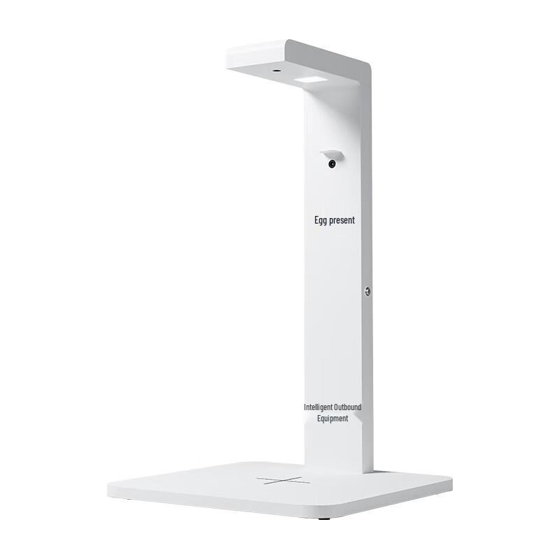 LAEXAN ZH Q2 E-commerce Shipping Monitor & Document Camera