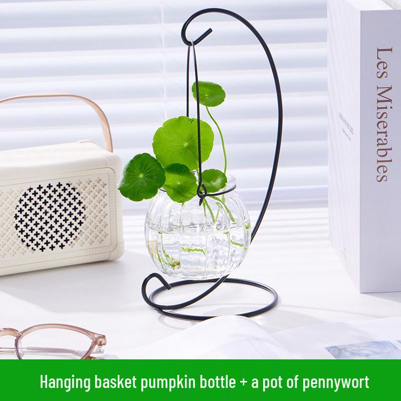 Indoor Desktop Murraya: Easy-Care Blooming Green Hydroponic Plants for Office & Living Room
