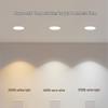 Philips Xinxin XD078 LED Recessed Ceiling Downlight