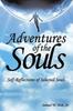 Книга Adventures of the Souls : Self-Reflections of Selected Souls