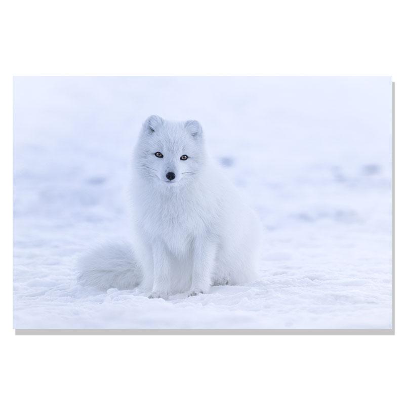 Flower Lake Snow Owl Deer Forest Landscape Winter Wall Art Canvas Painting Nordic Posters And Prints Wall Pictures Home Decor