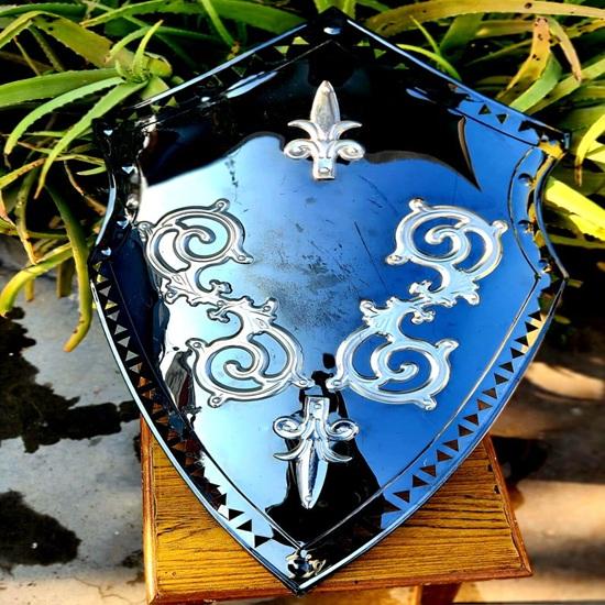 Knight Viking Shield Medieval LARP Cosplay, Stainless Steel 76.2 Cm Decorative Item Home Office Christmas New Year Father Day Gift