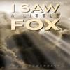 I Saw a Little Fox by David Bowerbank Paperback Book 9781035851614