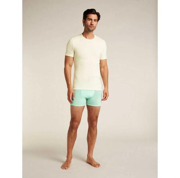 Icebreaker Merino 150 Anatomica Boxer Briefs