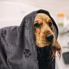 1 шт. Полотенце для сушки собаки Полотенце для кошки Питомца Щенок Микрофибра Быстросохнущее Полотенце для ванны с когтями собаки Впитывающее Среднее Собака Питомец Одеяло для ванны