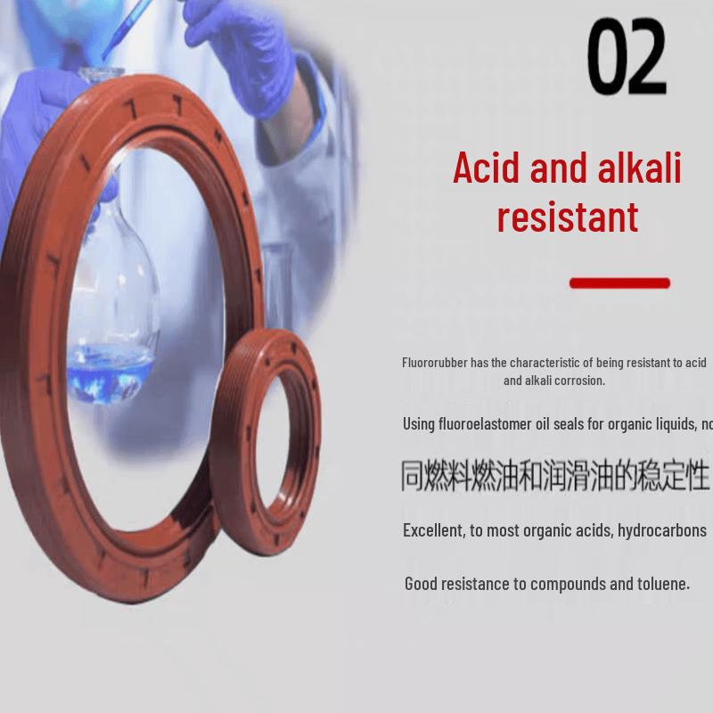 Fluororubber Double Lip Inner Skeleton Seal Ring