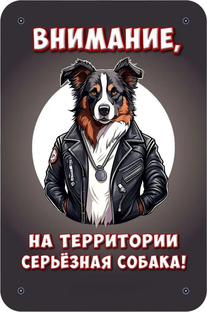 Металлическая табличка Осторожно Злая собака 30x20см Шпиц