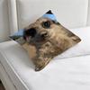 Cute Baby MMeerkat Fashion Square Pillow Case Durable Throw Pillow Cover for Sofa Couch Chair
