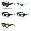 2PACK Trendy Cat Eye Irregular Sunglasses Women Men Luxury Brand Polygon Sun Glasses for Ladies Vintage Punk Shades