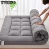 Soft Hotel Mattress Cushion for Dormitory or Bunk Bed Foldable High Quality Double-sided Four Seasons Available Thick BedroomTatami Mattress