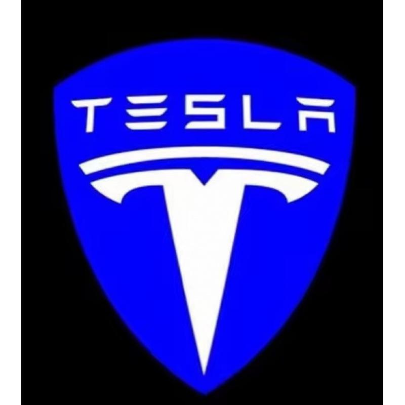 Применимый проектор света приветствия для дверей Tesla Model S/X/3