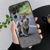 Phone Case For Samsung A17 A55 A16 A56 A35 A15 A53 A54 A33 A34 A25 A05S A52 A52S A07 A26 A06 Cute Koala Sleeping