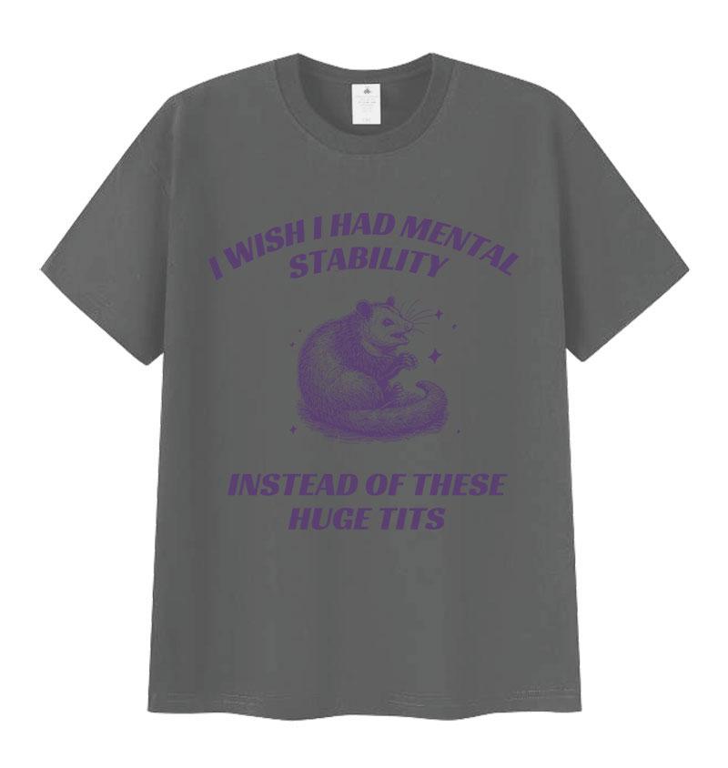 Funny I Wish I Had Mental Stability Racoon Meme T Shirts Men Women's Casual High Quality Oversized Cotton T-shirt Harajuku Tops
