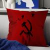 CCCP USSR Soviet Personalized Pillow Cover Kids Bedroom Wild Party Decor Pillowcase Kid Birthday Shower Gift