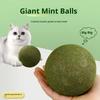 Catnip Ball Extra Large 10cm Jumbo Giant Catnip Fruit Toy For Fresh Breath Cat Toy Home Cat Care Supplies Funny Stick Sisal Bell