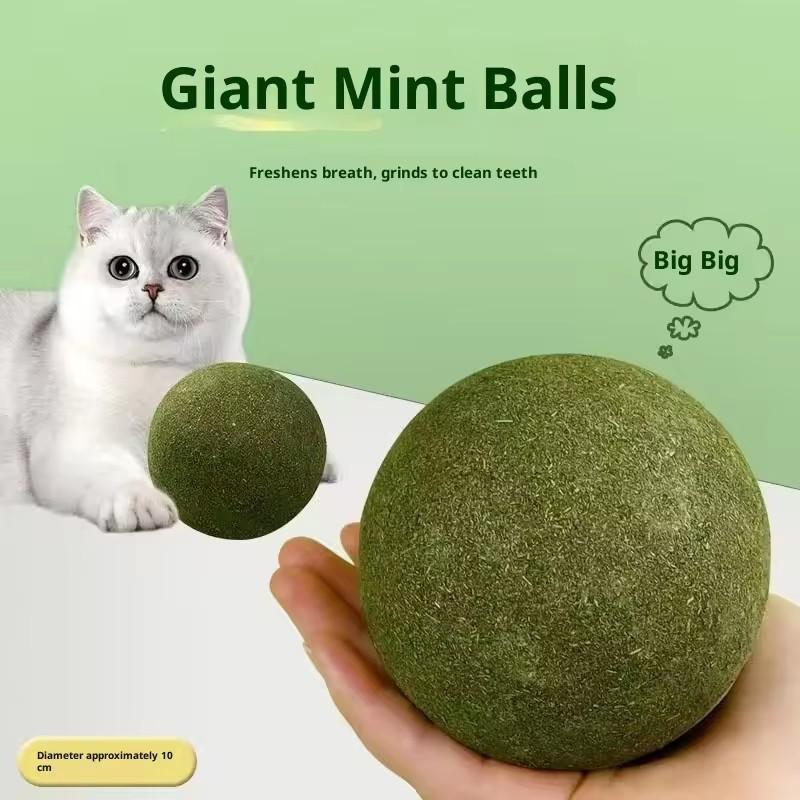 Catnip Ball Extra Large 10cm Jumbo Giant Catnip Fruit Toy For Fresh Breath Cat Toy Home Cat Care Supplies Funny Stick Sisal Bell