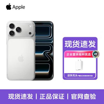 Apple iPhone 17 Pro Max с набором для быстрой зарядки 20 Вт (Китайская версия)