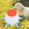 13 Pcs Set 2.6 Quart Lamb Feeder Bucket Thickened Nursing Milk Feeder  Young Livestock