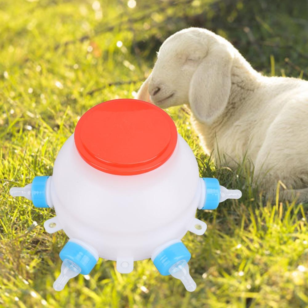 13 Pcs Set 2.6 Quart Lamb Feeder Bucket Thickened Nursing Milk Feeder Young Livestock