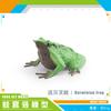 Simulation Amphibian Frog Triangular Dead Leaf Frog Red-Eyed Tree Frog Darwin Frog Static Model Ornament
