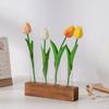 Transparent Glass Hydroponic Plants Container 3/4/5 Test Glass Tube Vases Test Tube Vases  Weddings