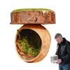Укрытие для прыгающего паука Аксессуары для террариума прыгающего паука Ручная работа Аксессуары для рептилий и амфибий Магнитные Для домика тарантула