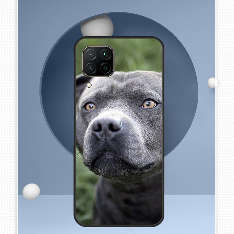Pit Bull Lovely Dog Pitbull For Huawei Nova 12s 12i 11i 8i Y91 Y60 Y70 Y72 Y90 Y61 9 10 SE P20 P40 Lite P30 P60 Pro Case