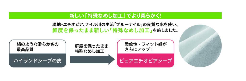 Kasco SILKY FIT Golf Regular 26cm Gloves, Size, Men's, GF-17251, White,