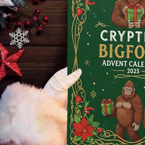 Рождественский дикарь Адвент-календарь Мультяшная фигурка дикаря Рождественский календарь обратного отсчета