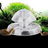 Clear  Trap Aquarium Fish Tank Plants Planarian Leech Catch Environment 