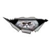 Cute Persian Cat Car Decals Bumper Window Animal Stickers Car Accessories Waterproof Vinyl Material
