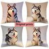Cute Husky Print Square Throw Pillow Cases Pattern Cushion Cover Suitable For Sofa Bedroom Car Pillow Cover
