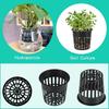 3pcs Grow Orchids Wide Lip Hydroponics Cups Planting Mesh Pot Soilless Net Basket Slotted Container Colonization Black 3 Inch
