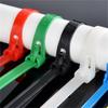 100 PCS Nylon Tie Colorful Factory Standard Self-locking Plastic Nylon Cable Ties Wire Zip Tie 20x0.4cm Live Loop