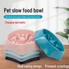 Non-Slip Anti-Choking Slow Feeding Bowl for Small, Medium, and Large Dogs