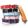Fashion PU Leather Flat Pet Collar Multicolor Size Dog Leash Rope Pet Collar Pet Supplies