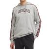 Adidas Sweatshirts Men's Gray Hooded Moderate JV6505