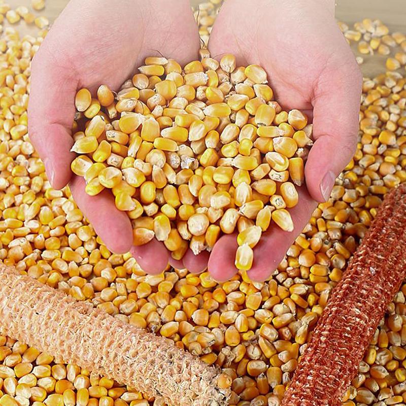 Портативная кукурузная молотилка, полностью автоматическая головка для кукурузной шелушения, небольшой электрический зерновой строгальный станок, сепаратор