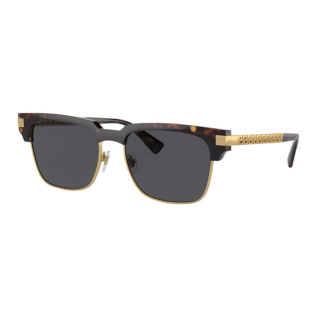 Versace Mirror Leg Decoration Nylon Injected Irregular Shape Sunglasses Men sunglasses Tortoiseshell O4447-O1088755